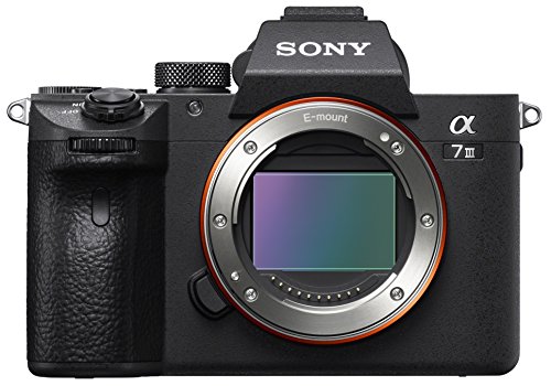 30 Miglior sony a7 iii nel 2024 [basato su 50 recensioni di esperti]