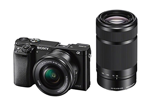 30 Miglior sony a6000 nel 2024 [basato su 50 recensioni di esperti]